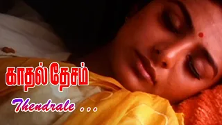 Kadhal Desam Movie Songs | Thendrale Song | Abbas | Vineeth | Tabu | Vadivelu | A.R.Rahman