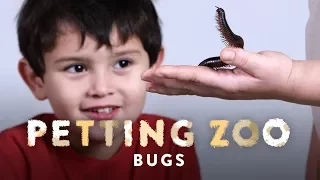 Bugs | HiHo Petting Zoo | HiHo Kids