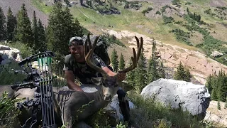 Utah Archery Mule Deer Hunt - Stuck N the Rut 84