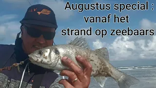 Zeevissen update : Op zeebaars vanaf het strand