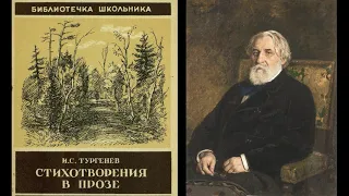 И.С.Тургенев. Стихотворения в прозе. Русский язык. Близнецы. Два богача.