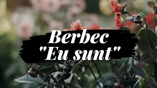 ❈ ZODIA BERBEC | "EU SUNT" | Introducere, trăsături psihologice, caracteristici