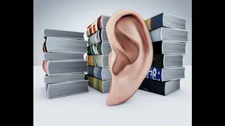 Audiolibro el Exito no llega por casualidad