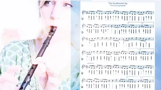 The Swallowtail Jig  Play along ~ Tin Whistle and Guitar in C #tinwhistle #celticmusic