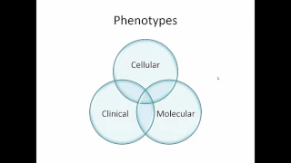 Treatment of Asthma Phenotypes 01202017