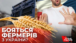 Словаччина, Польща та Угорщина заборонили імпорт українського зерна: у чому причина?