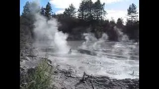 Новая Зеландия, Гейзеры - New Zealand - Rotorua