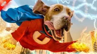 A Dog is Exposed to a Substance that gives him Super Powers. #explainerrohit