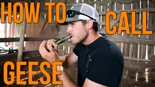 How To Call Geese | Waterfowl Wednesday