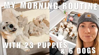 MY MORNING ROUTINE WITH 23 PUPPIES AND 6 DOGS | DOG BREEDER EDITION
