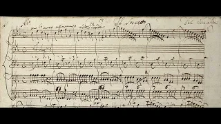 VIVALDI | Il Sospetto | Concerto RV 199 in C minor | Original manuscript