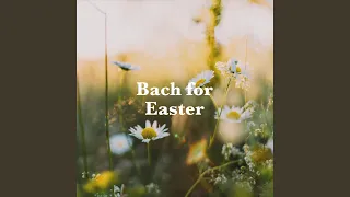 J.S. Bach: Violin Concerto No. 1 in A Minor, BWV 1041 - 1. (Allegro moderato)