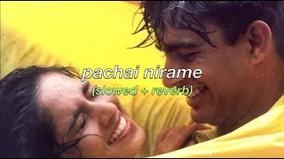 pachai nirame (slowed + reverb) [alaipayuthey]