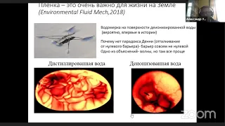 Уваров А. В. "Влияние пленки на границе раздела жидкость-газ на распространение поверхностных..."