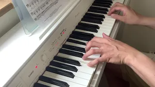 Piano solo cover (The Beatles: Lovely Rita, Rhythm arranged)