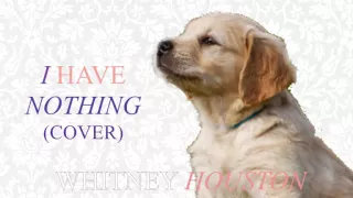 I Have Nothing by Whitney Houston (cover)