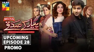 Pyar Ke Sadqay | Upcoming Episode 28 | Promo | Digitally Presented By Mezan | HUM TV | Drama