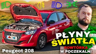 Peugeot 208 PŁYNY i ŚWIATŁA KAT. B - Czynności KONTROLNO-OBSŁUGOWE - EGZAMIN WORD - SZYBKA POWTÓRKA