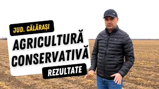 Agricultura conservativă - rezultatele obținute de doi fermieri din județul Călărași