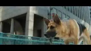 I Am Legend Theatrical Trailer 3