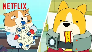Top Hilarious Dogs in Space Moments Mashup | Netflix After School