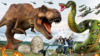 Must Watch New Special T-rex Attack 2024 | Lost In Dinosaur Jurassic World 4 | Dinosaur| Rexy Fillms