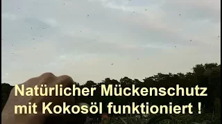 Mückenschutz Test: Natürlicher Mückenschutz mit Kokosöl funktioniert !