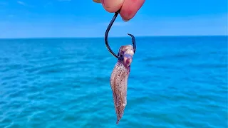 Fishing 100' DEEP with SQUID for My DINNER! [Catch, Clean, Cook]