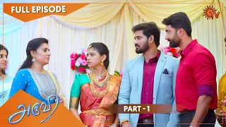 Aruvi - Maruthali Thirumanam | Part 1 | 19 June 2022 | Tamil Serial | Sun TV