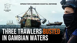 Three Trawlers Busted! Sea Shepherd and The Gambia Renew Joint Fight Against Illegal Fishing