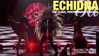 The Masked Singer Echidna: The Clues, Performance & Reveal