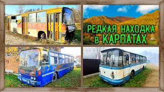 Найден Икарус МОСГОРТРАНСА в горах Карпат IKARUS 260 или 280? а так же найдены IKARUS 255 и ЛАЗ 695Н