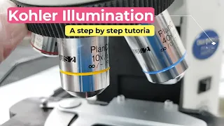 Kohler illumination - A step by step tutorial.