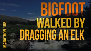 Bigfoot Walked Past Me Dragging an Elk. Marathon_108