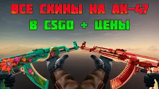 ALL SKINS AK-47 IN CSGO!