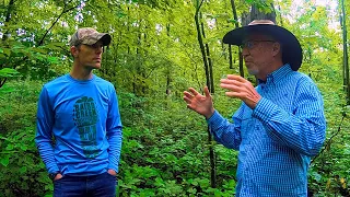 40 Acres: Hunting Tips and Whitetail Habitat Projects: Food Plots Locations, Scent, etc.