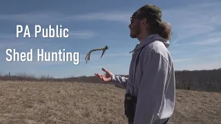 Shed Hunting PA Public Lands | Mountain & Hill Country Bucks