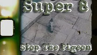 Super 8 Footage Pigeon at Belfast City Hall 2020