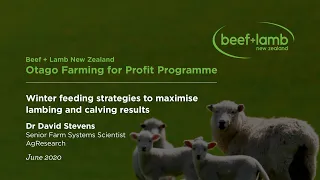 Winter Feeding Strategies to maximise lambing and calving results
