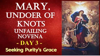 DAY 3 MARY UNDOER OF KNOTS UNFAILING NOVENA SEEKING - PURITYS GRACE 042024