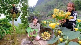 Harvest jackfruit, pumpkin flowers, and trap crabs in the traditional way - Trong and Ton