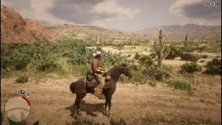 Red Dead Redemption 2_20230411214909