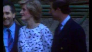 Prince Charles wipes his dirty hand on Princess Diana's bottom