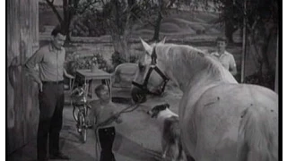 Lassie - Episode #184 - "Old Henry" - Season 6 Ep. 2 - 09/13/1959