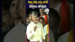 డబ్బు పిచ్చి ఉన్న జగన్‌  దేనికైనా తెగిస్తాడు - చంద్రబాబు