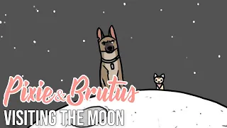 When Pixie and Brutus visited the Moon | Pixie and Brutus Comic Dub