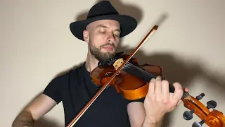 Lana Del Rey - Summertime sadness (Cover on the violin)