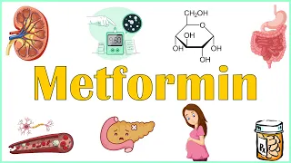 Metformin - Uses, Mechanism Of Action, Adverse Effects & Contraindications