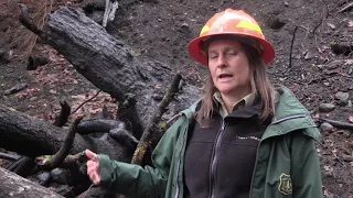 Eagle Creek Fire, Erosion and the Resilient Landscape