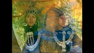 Mapuche Kutran / La salud mapuche